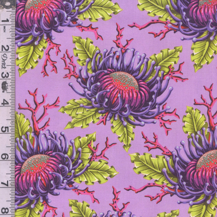 Floral Reef - Friends & Anemones Ultraviolet