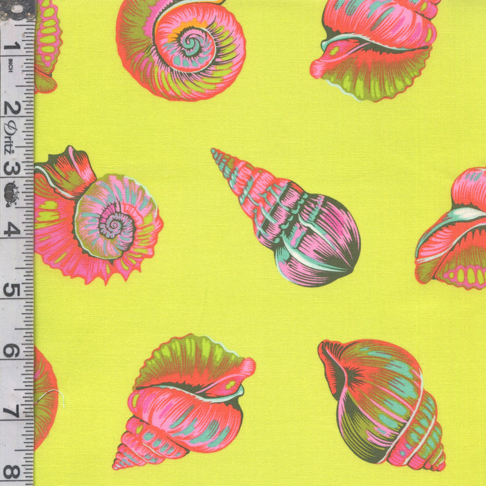 Floral Reef - Lil Shelly Sea Grass