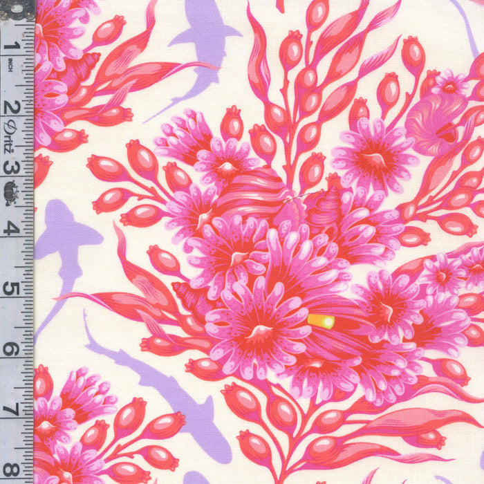 Floral Reef - Shadow Sharks Delphine