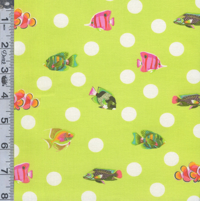 Floral Reef - School Crossing Sea Grass