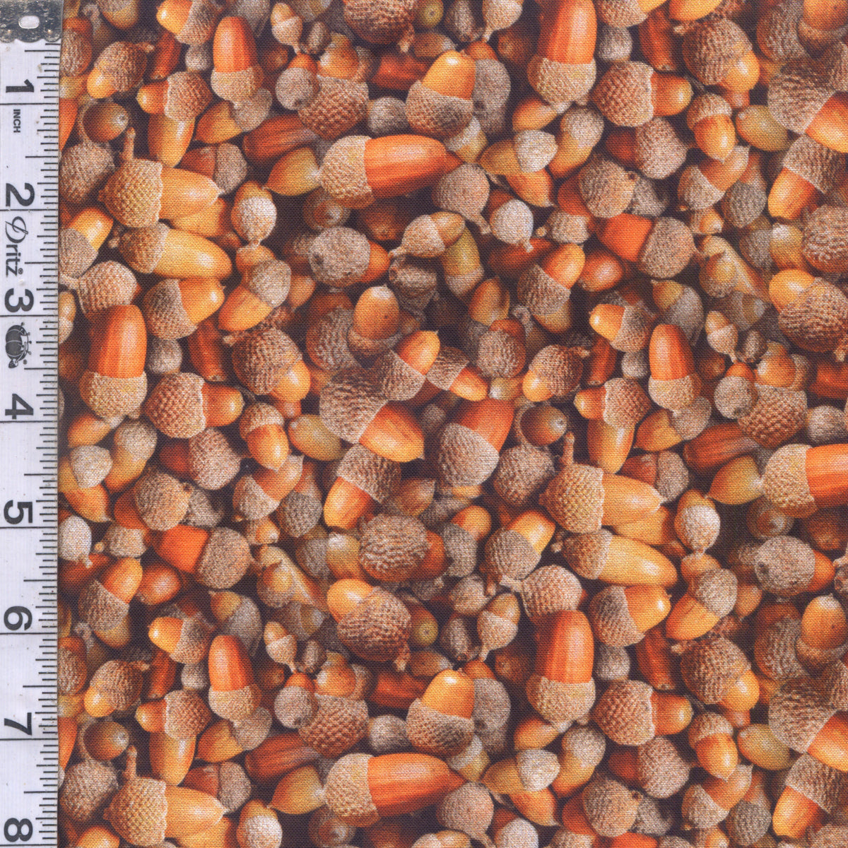 acorn様•*¨*•.¸♬︎ Homestead - Acorns — Fabric Shack
