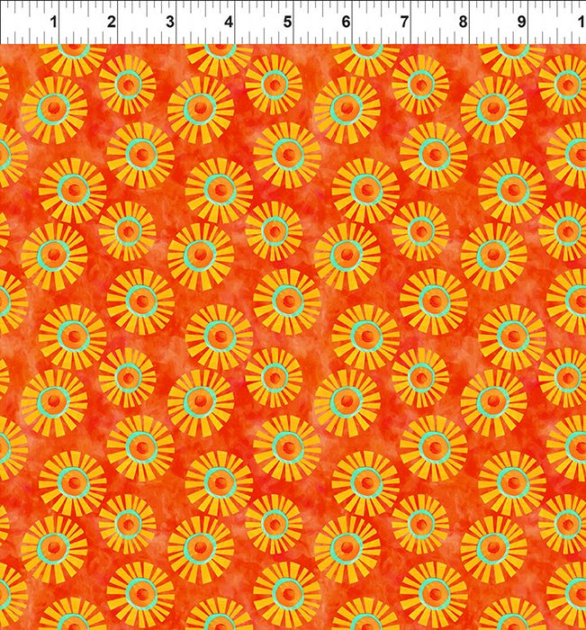 ABC's of Color - Suns Orange