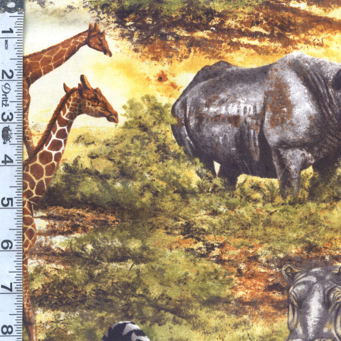 Nature Studies 2 - Safari Animals