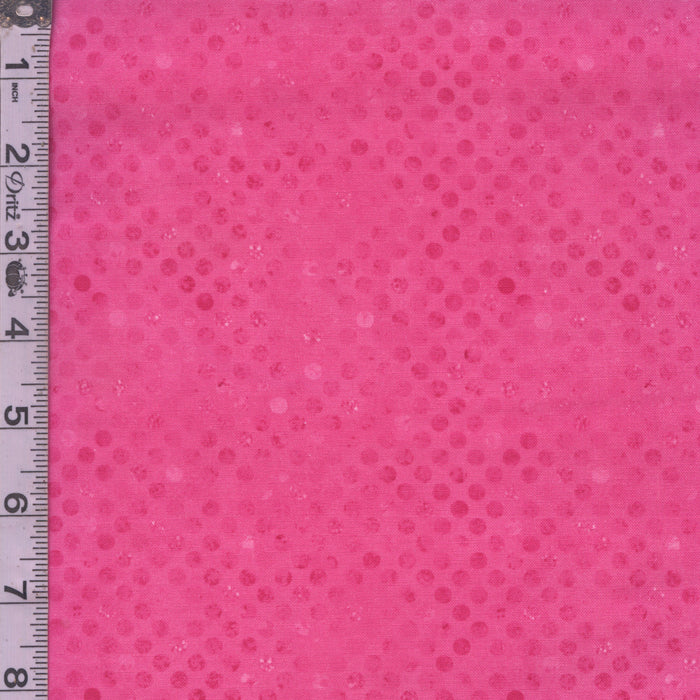 Codici - Fuchsia