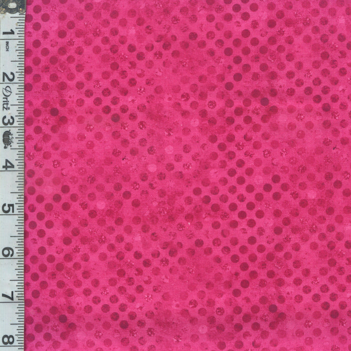 Codici - Magenta