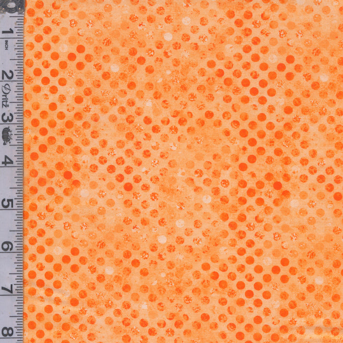 Codici - Marmalade
