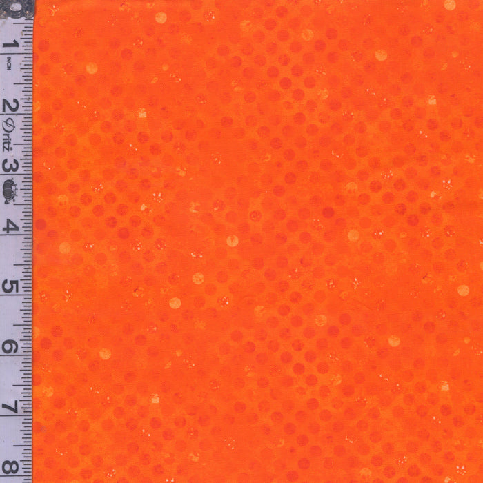 Codici - Orange