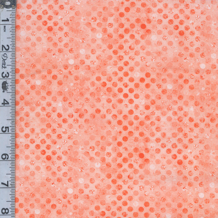 Codici - Coral