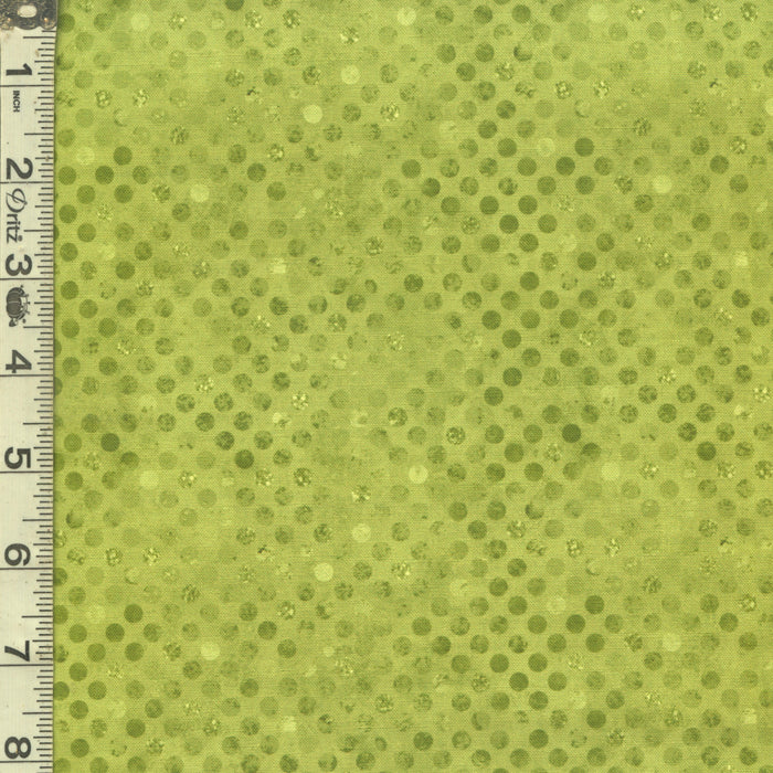 Codici - Cactus