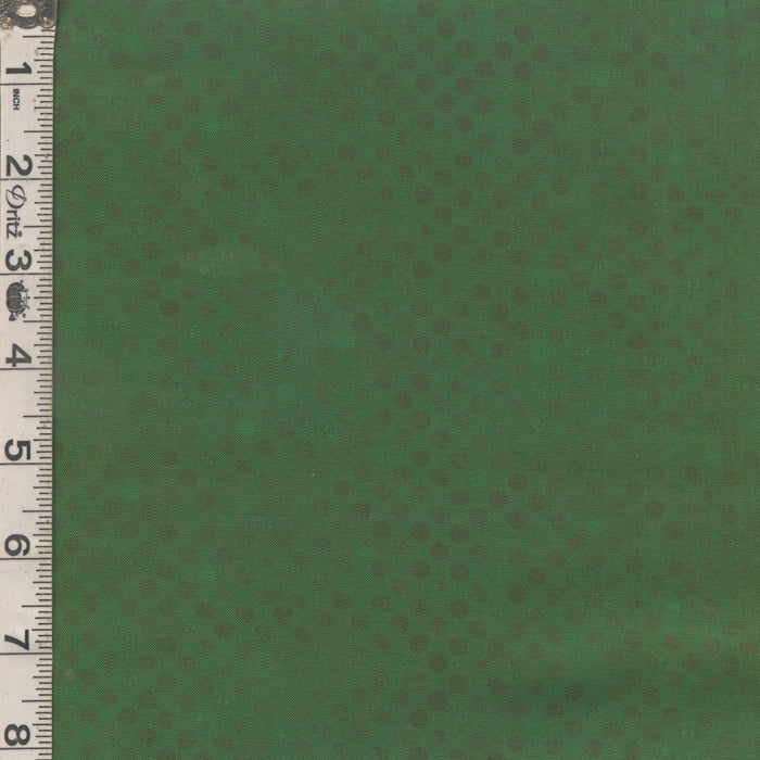 Codici - Forest
