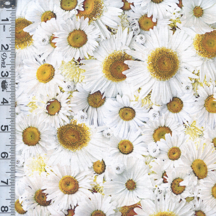 Forget Me Not - Daisy Delight White