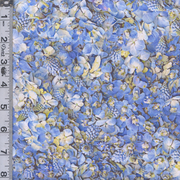 Forget Me Not - Pale Skies Blue