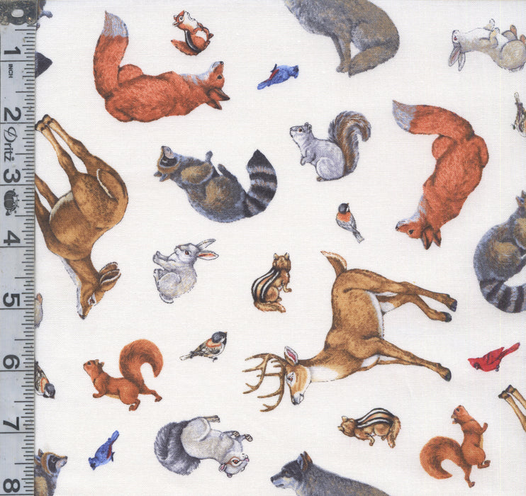 Woodland Winter - Woodland Animals White