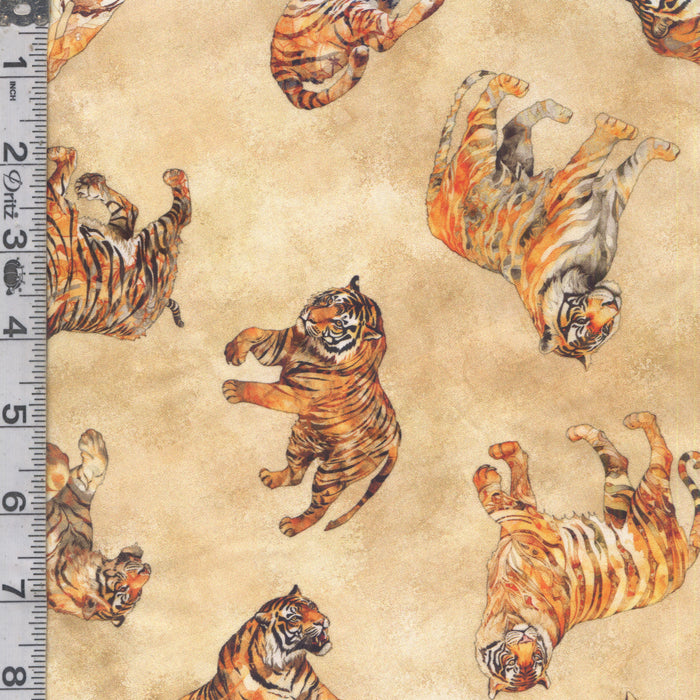 Eye of the Tiger - Tiger Toss Cream