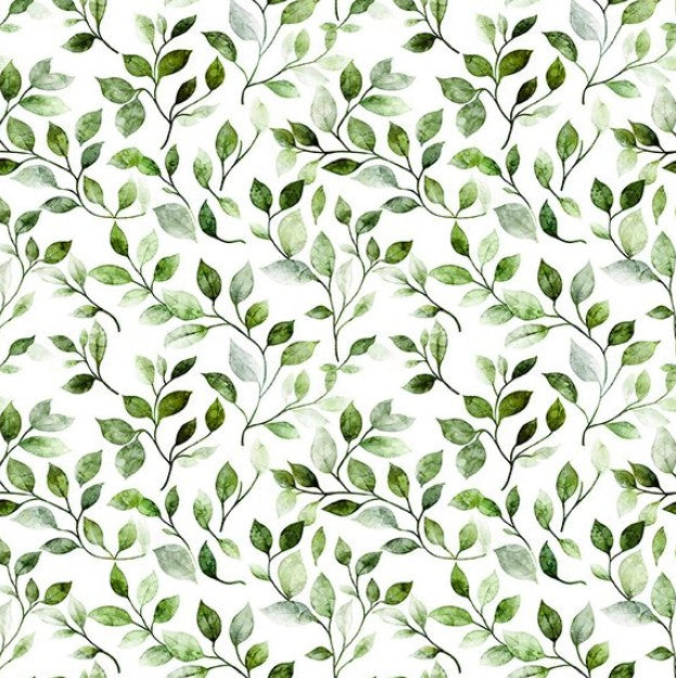 Mountain Splendor - Leaf Vine Evergreen