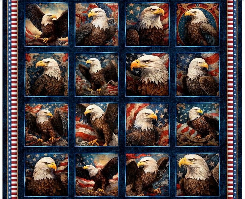 1776 Panel - Eagle Picture Patches