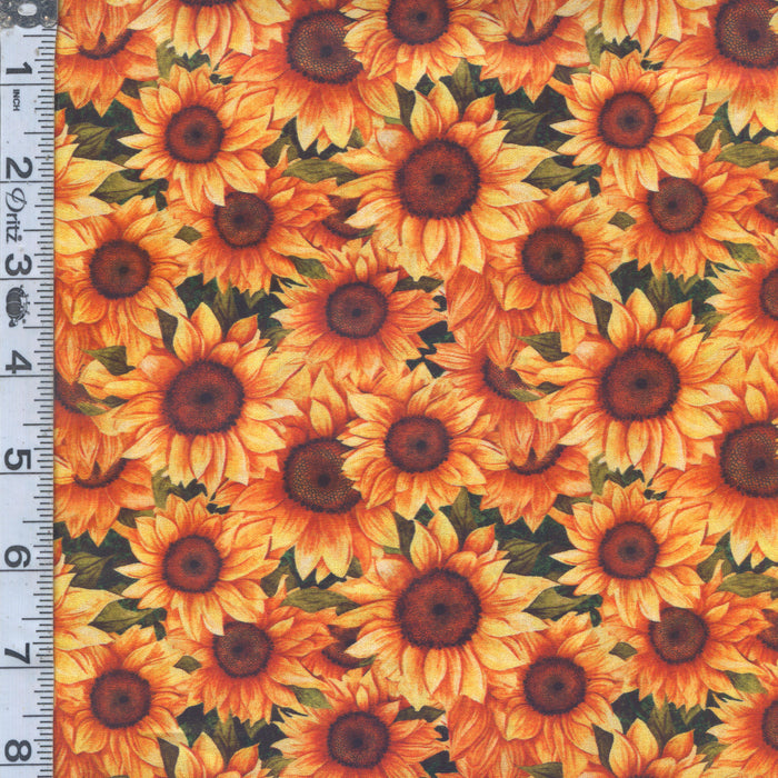 Sunflower Serenade - Packed Large Sunflowers Green
