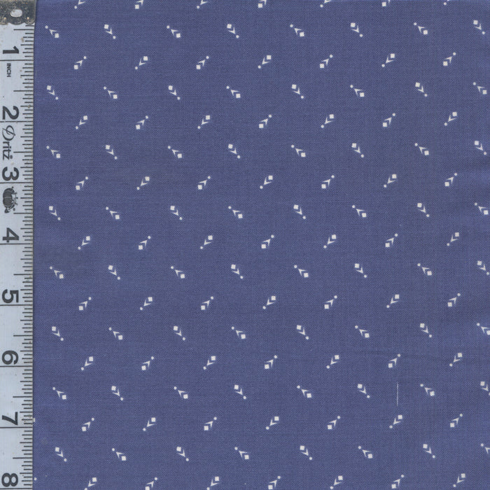 Prairie - Diamond Denim