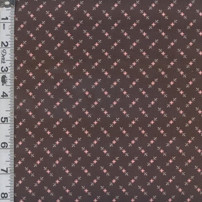 Bee Dots - Genoveffa Raisin