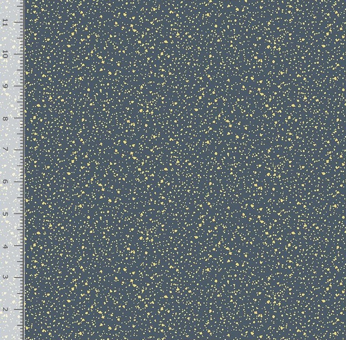 Stardust - Licorice