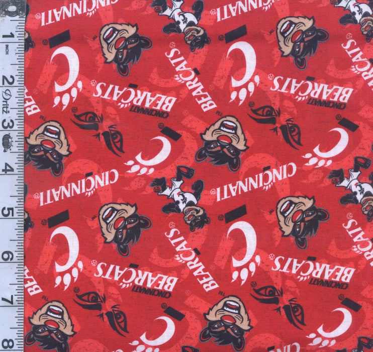 NCAA - University of Cincinnati