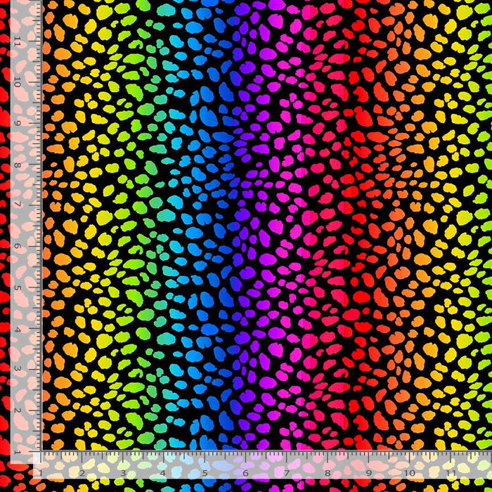 Wildcat - Rainbow Cheetah Black