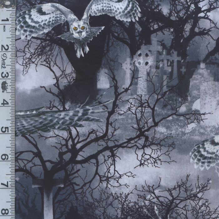 Wicked Fog - Owls Night