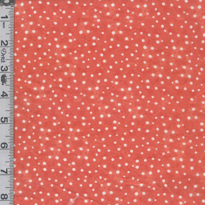 Snow Fun - Dots Red