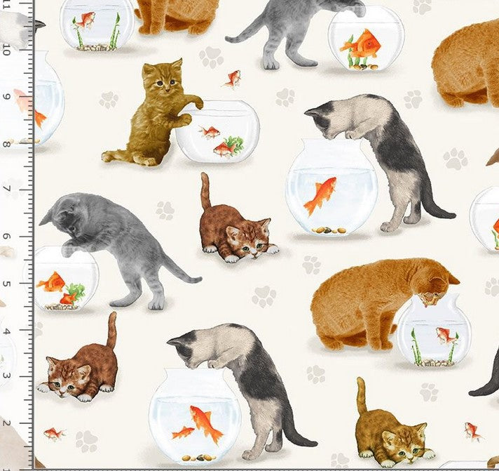You Had Me at Meow