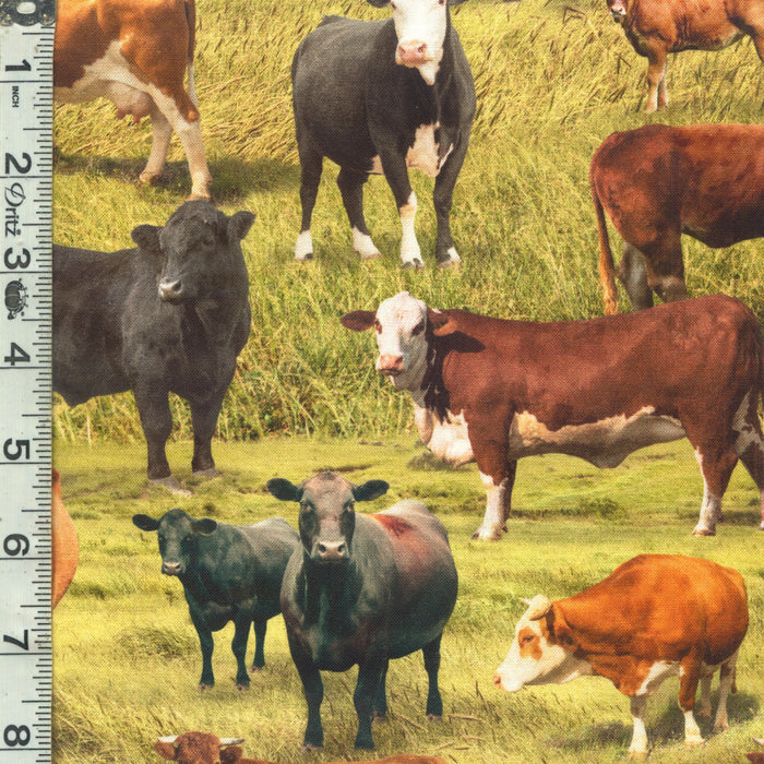 Home on the Range - Cattle Farm Green