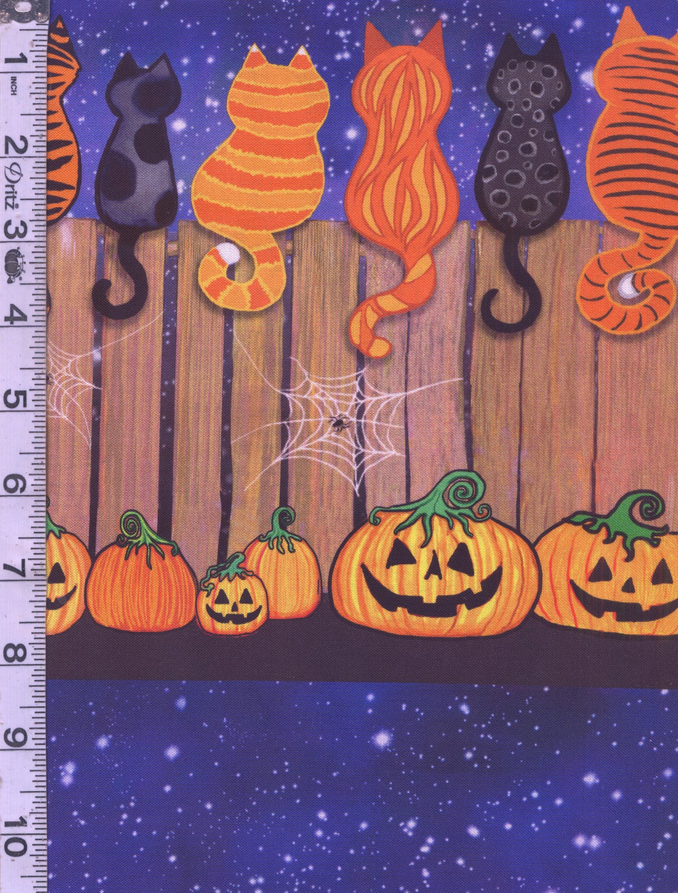Feline Spooky