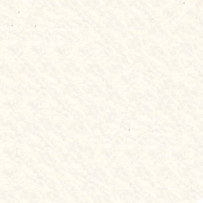 20% Wool, 80% Rayon Wool Felt - White