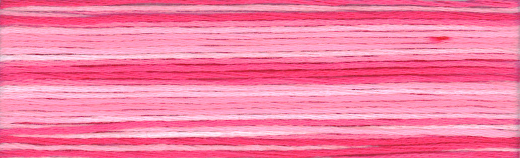 Cosmo Seasons Embroidery Floss - 8011