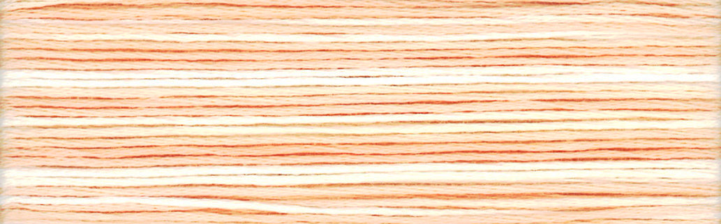 Cosmo Seasons Embroidery Floss - 8045