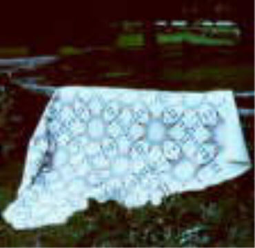 Stars of Alabama Pattern