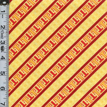 Steam Team Express - Geo Stripe Yellow