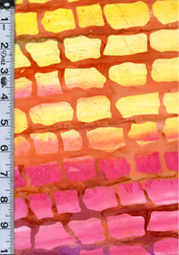 Tonga Batiks - Brick